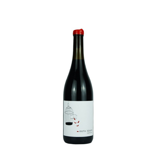 Pescara Vini Carta bianca Cordisio 2022