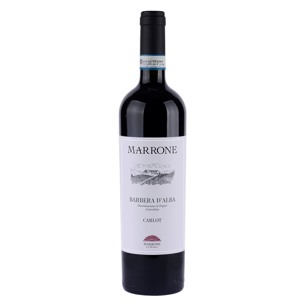 Marrone Barbera d’Alba DOC “Carlot” 2022