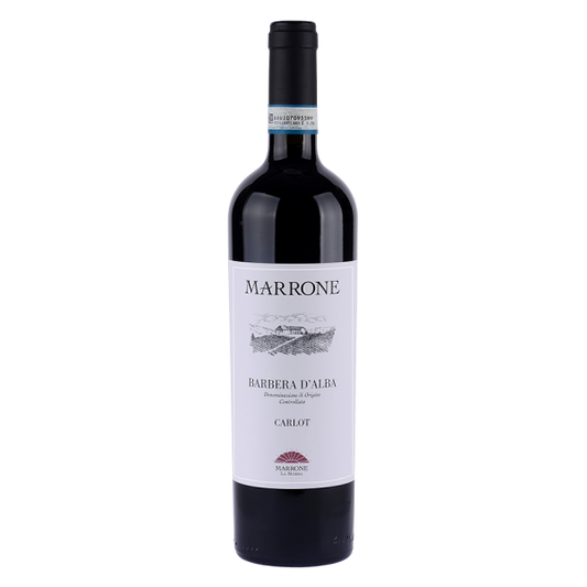 Marrone Barbera d’Alba DOC “Carlot” 2022