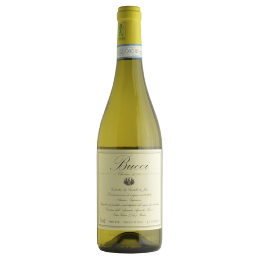 BUCCI VERDICCHIO CLASSICO 2023