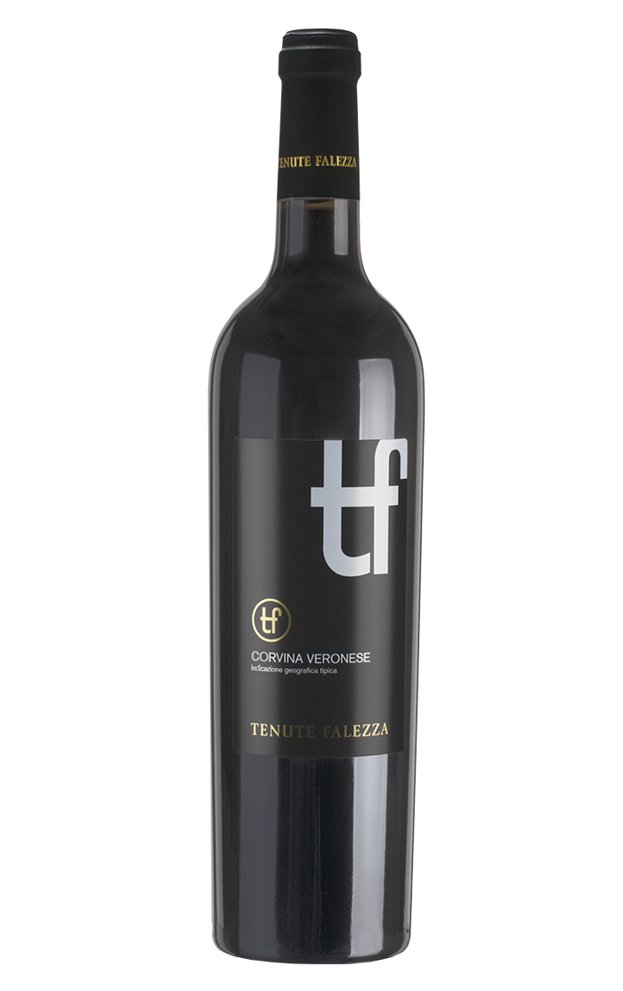 Falezza - Corvina Veronese IGT 2024