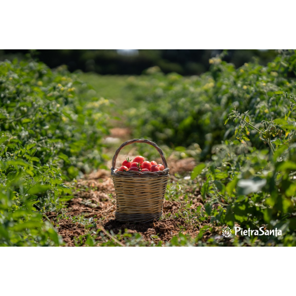Pietrasanta - Passata Biologica di pomodoro Fiaschetto di Torre Guaceto