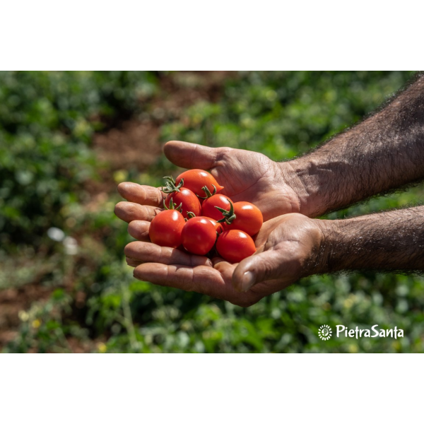 Pietrasanta - Passata Biologica di pomodoro Fiaschetto di Torre Guaceto