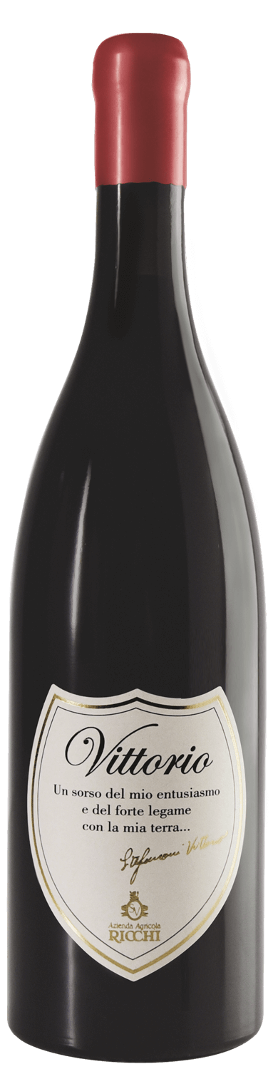 Ricchi - Vittorio Alto Mincio IGT Rosso